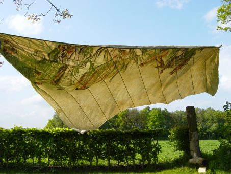 Jacqueline de Jong bij Jansen Kooy zeil