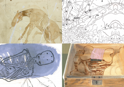 Breuken Caren van Herwaarden Karin Peulen Anne Semler Elizabeth de Vaal